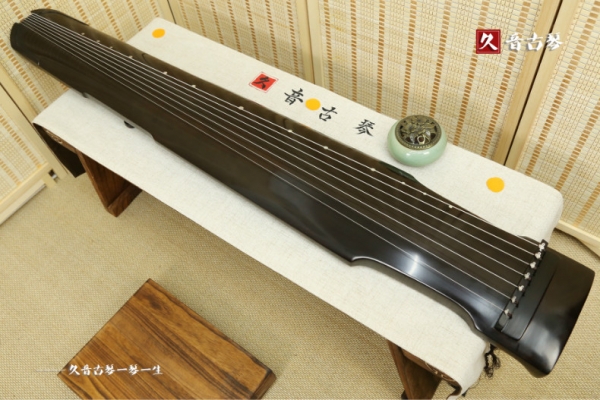 柳州市初级演奏古琴【仲尼式】